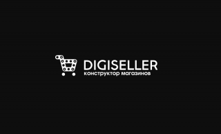 DigiSeller автоматический вывод средств